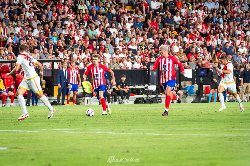 重要因素 重要因素